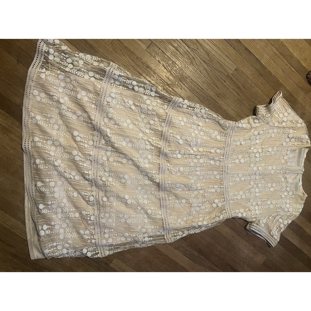 Tea N Rose Embroidered Mesh Dress Womens Sz M Blush Nude Lace Overlay Garden